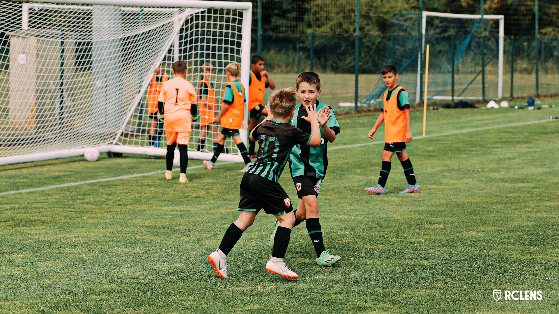 Stages Sang et Or 2023-2024 Stages Sang et Or 2023-2024